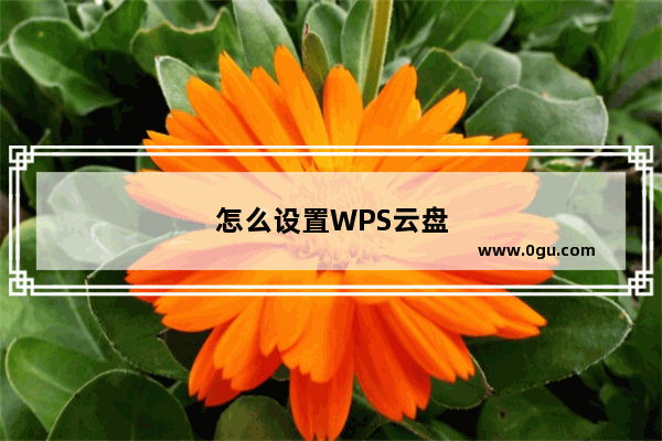 怎么设置WPS云盘