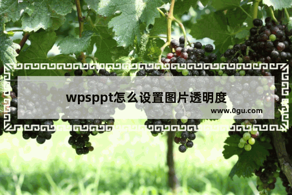 wpsppt怎么设置图片透明度