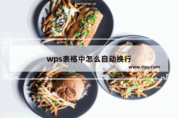 wps表格中怎么自动换行