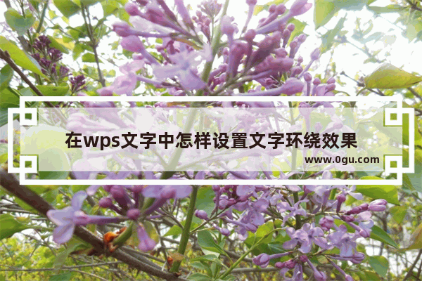 在wps文字中怎样设置文字环绕效果