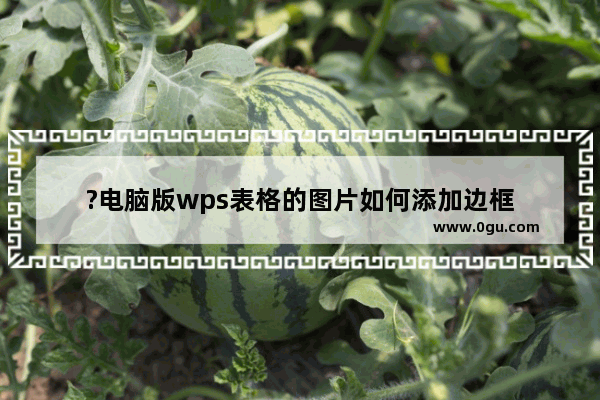 ?电脑版wps表格的图片如何添加边框