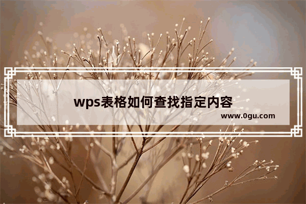 wps表格如何查找指定内容