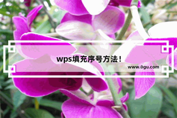 wps填充序号方法！