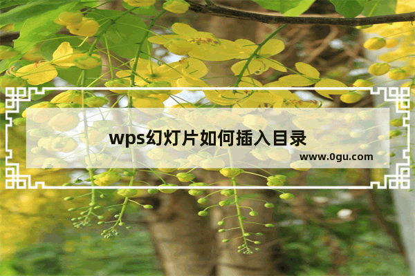 wps幻灯片如何插入目录