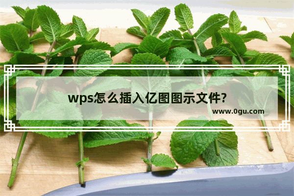 wps怎么插入亿图图示文件?