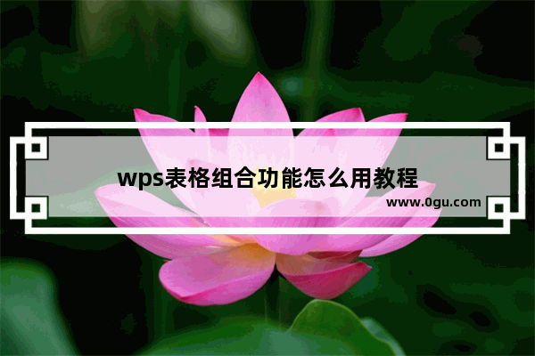 wps表格组合功能怎么用教程