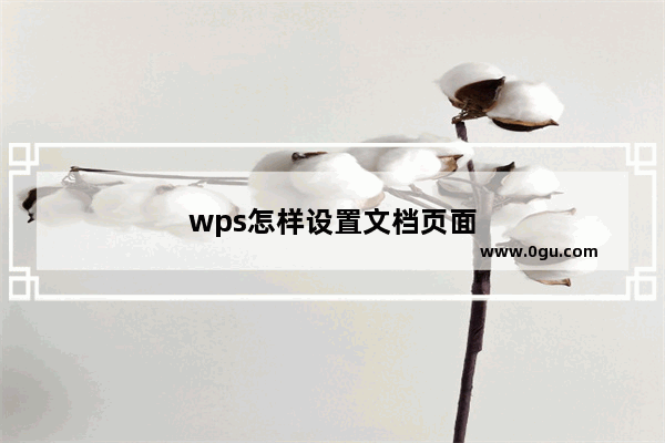 wps怎样设置文档页面