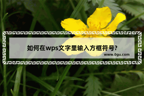 如何在wps文字里输入方框符号?