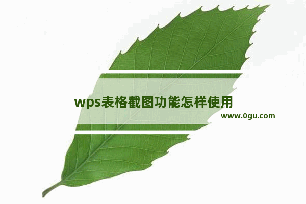 wps表格截图功能怎样使用