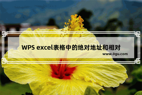 WPS excel表格中的绝对地址和相对地址怎么用