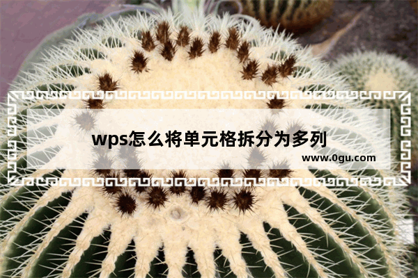 wps怎么将单元格拆分为多列