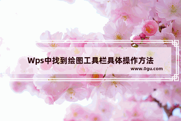 Wps中找到绘图工具栏具体操作方法