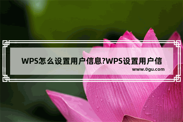 WPS怎么设置用户信息?WPS设置用户信息技巧