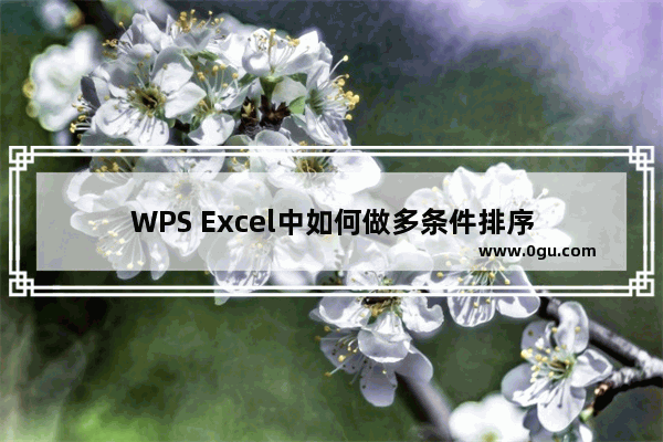 WPS Excel中如何做多条件排序