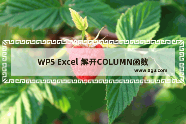 WPS Excel 解开COLUMN函数的秘密