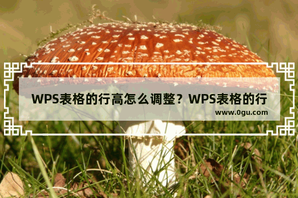 WPS表格的行高怎么调整？WPS表格的行高调整教学