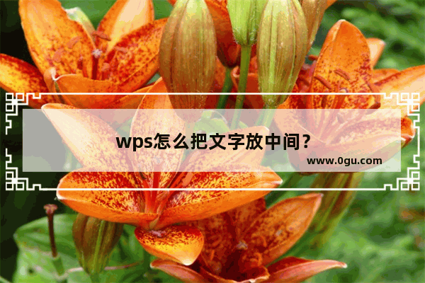 wps怎么把文字放中间？