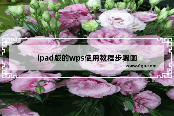 ipad版的wps使用教程步骤图