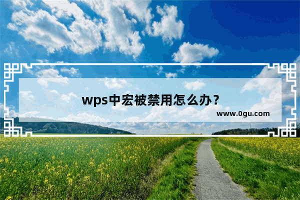 wps中宏被禁用怎么办？