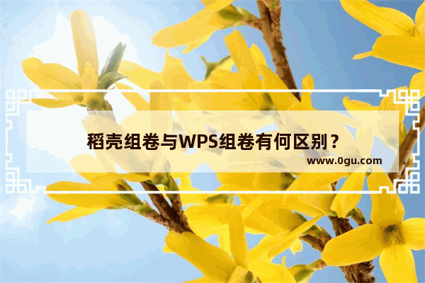 稻壳组卷与WPS组卷有何区别？