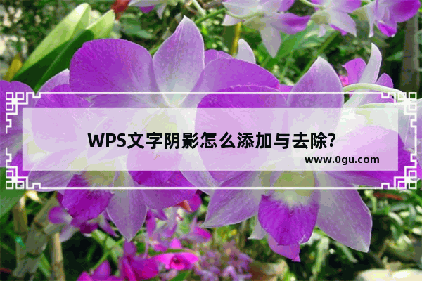 WPS文字阴影怎么添加与去除?