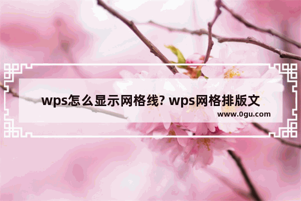 wps怎么显示网格线? wps网格排版文字的教程