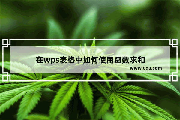 在wps表格中如何使用函数求和