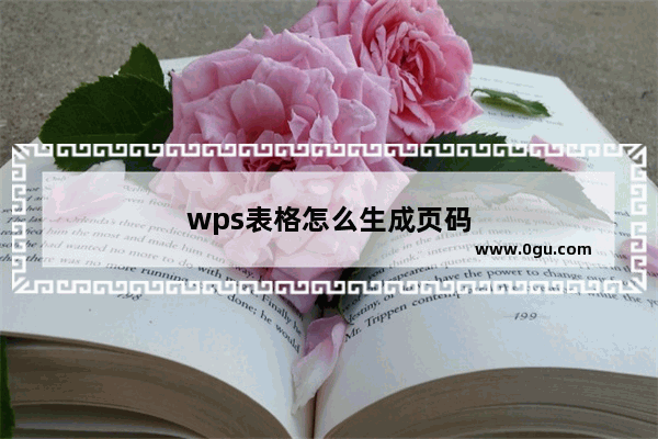 wps表格怎么生成页码