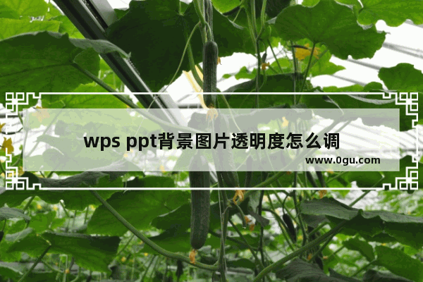 wps ppt背景图片透明度怎么调