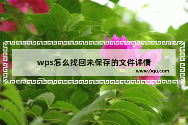 wps怎么找回未保存的文件详情