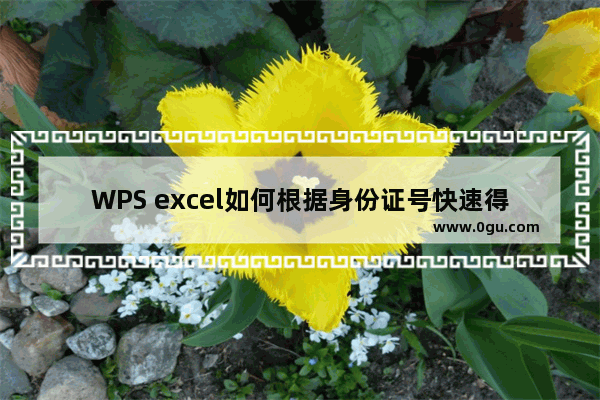 WPS excel如何根据身份证号快速得出性别信息