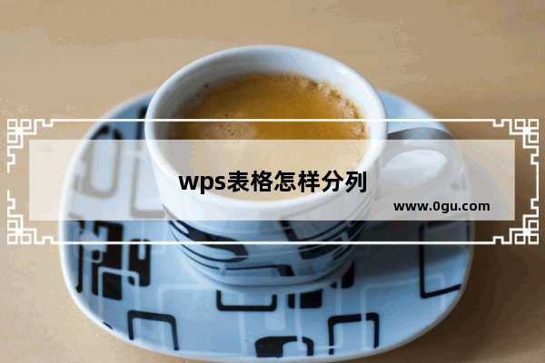 wps表格怎样分列