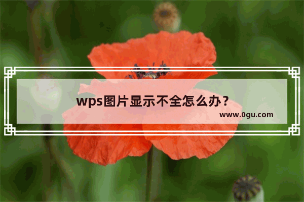 wps图片显示不全怎么办？