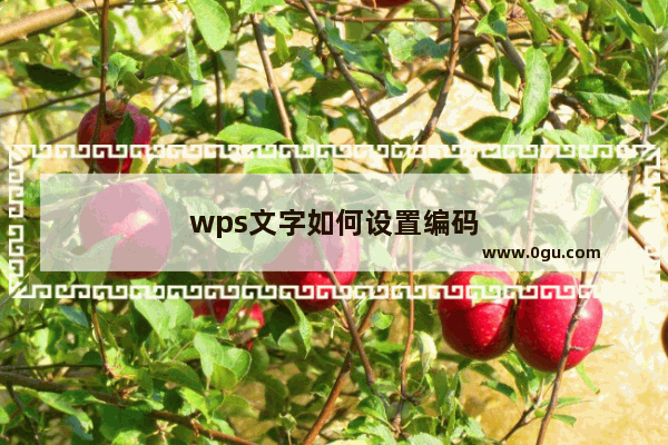 wps文字如何设置编码