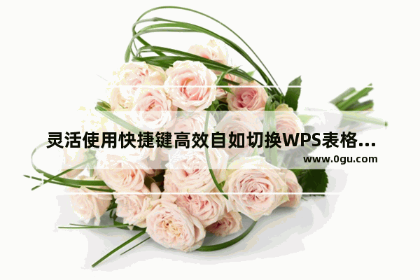 灵活使用快捷键高效自如切换WPS表格工作簿与工作表