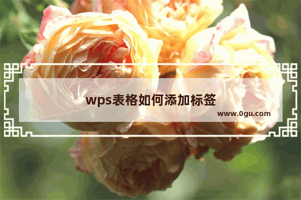 wps表格如何添加标签