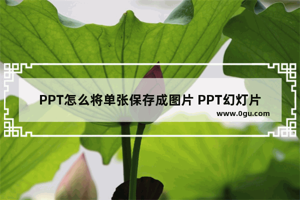 PPT怎么将单张保存成图片 PPT幻灯片单张保存成图片的方法