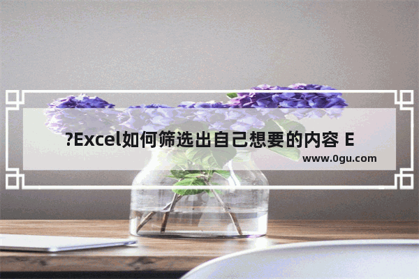 ?Excel如何筛选出自己想要的内容 Excel表格中添加筛选的方法教程