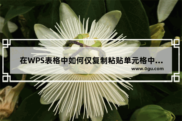 在WPS表格中如何仅复制粘贴单元格中的公式