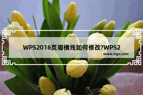 WPS2016页眉横线如何修改?WPS2016页眉横线格式的设置方法