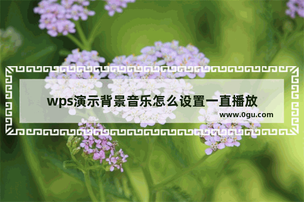 wps演示背景音乐怎么设置一直播放