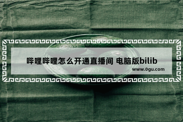 哔哩哔哩怎么开通直播间 电脑版bilibili开通直播间的方法