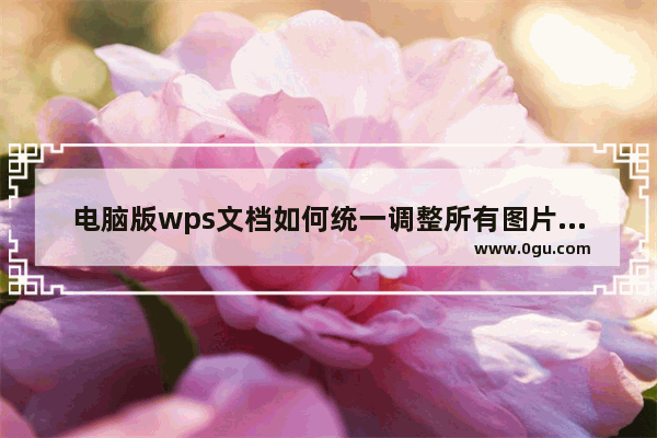 电脑版wps文档如何统一调整所有图片大小