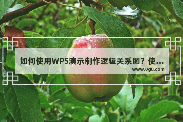 如何使用WPS演示制作逻辑关系图？使用WPS演示制作逻辑关系图的方法