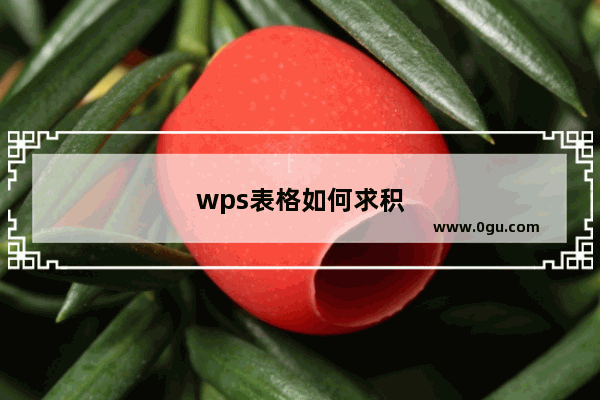 wps表格如何求积