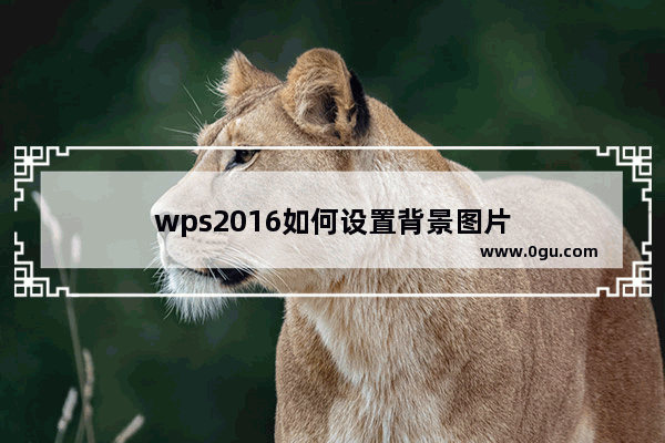 wps2016如何设置背景图片