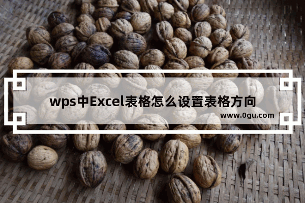 wps中Excel表格怎么设置表格方向