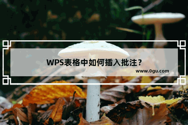 WPS表格中如何插入批注？