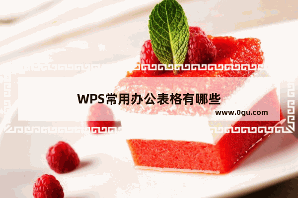 WPS常用办公表格有哪些