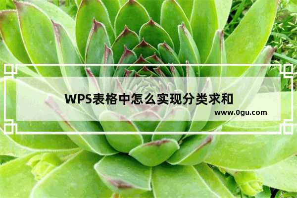 WPS表格中怎么实现分类求和